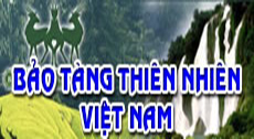 Liên kết 8