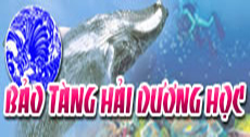 Liên kết 6